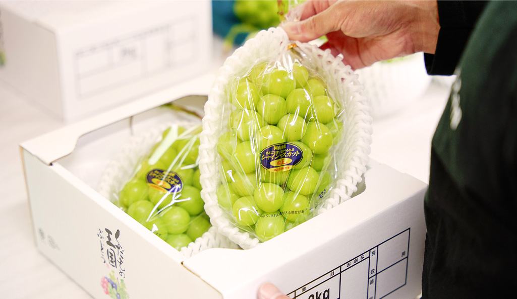 マスカットの女王「シャインマスカット」